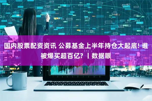 国内股票配资资讯 公募基金上半年持仓大起底! 谁被爆买超百亿? 丨数据眼
