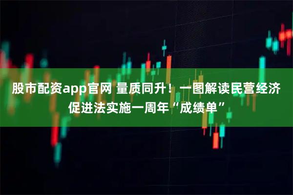 股市配资app官网 量质同升！一图解读民营经济促进法实施一周年“成绩单”